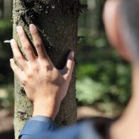 Tetra Pak impulsa el consumo responsable con envases FSC en la Semana de los Bosques