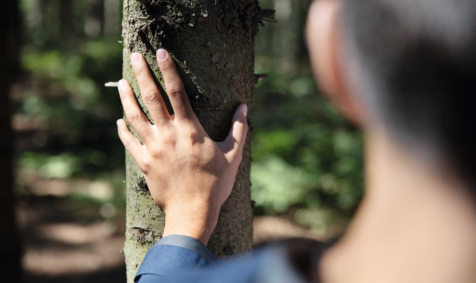 Tetra Pak impulsa el consumo responsable con envases FSC en la Semana de los Bosques