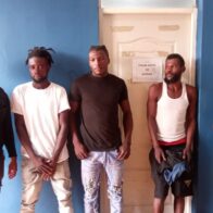 Envían a migración 4 haitianos sorprendidos robando cacao en finca de Zambrana