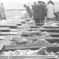 Exhumados 9.000 cuerpos de víctimas de la Guerra Civil española y la dictadura desde 2019