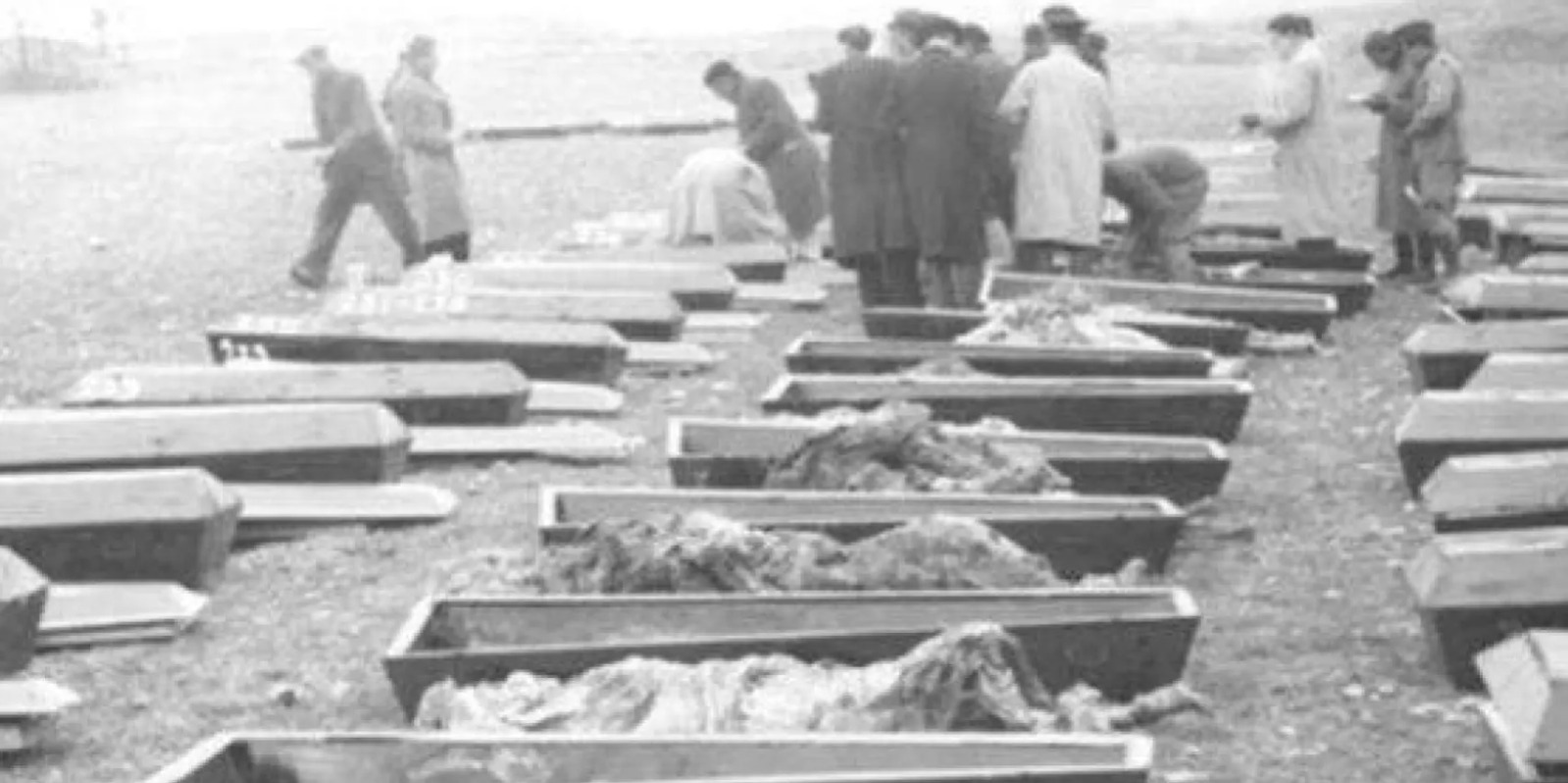 Exhumados 9.000 cuerpos de víctimas de la Guerra Civil española y la dictadura desde 2019