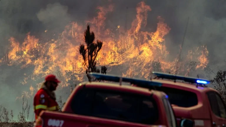 Dominado el 70 % del incendio en el sur de Portugal con nueve heridos leves