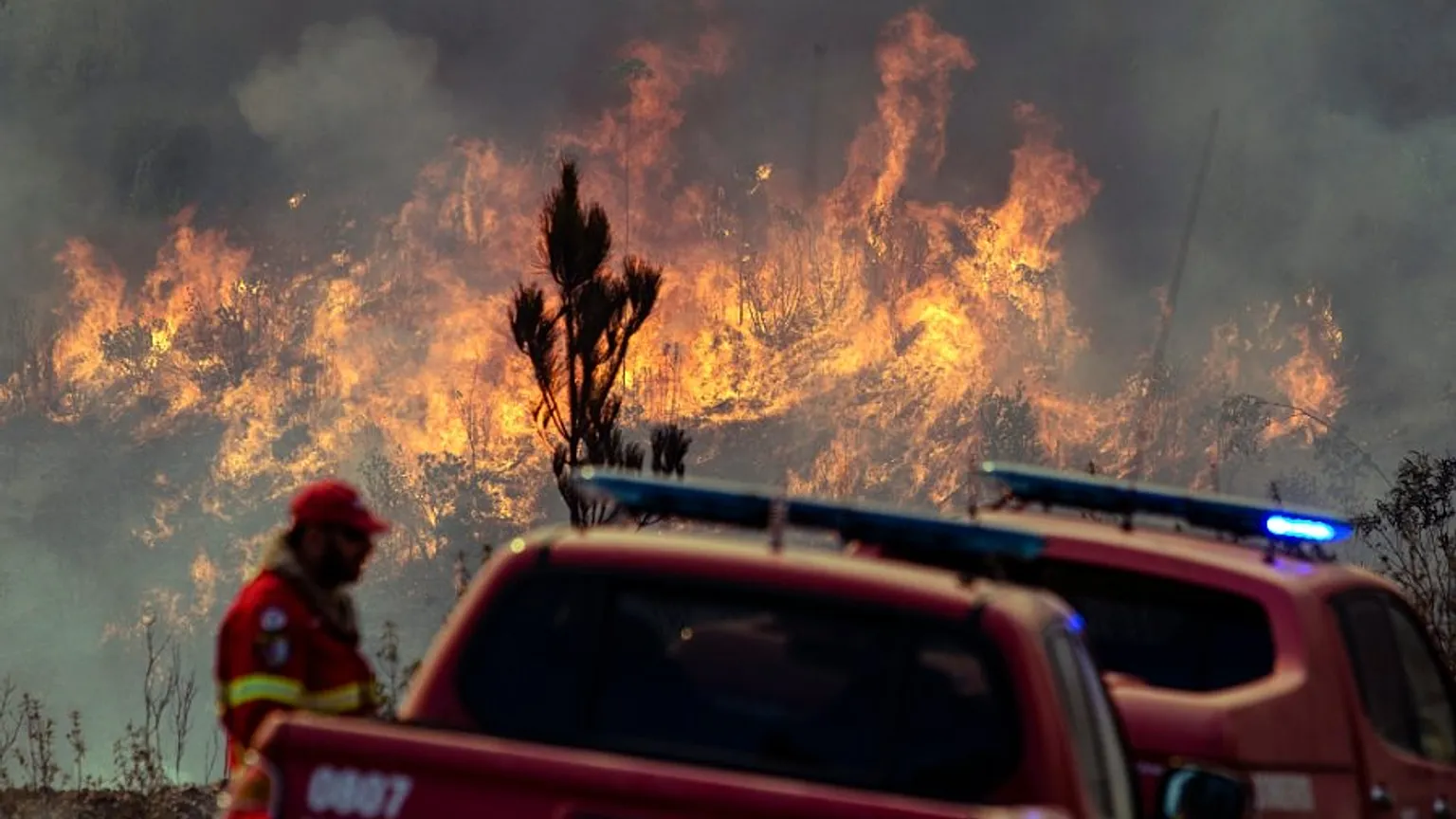 Dominado el 70 % del incendio en el sur de Portugal con nueve heridos leves