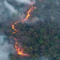 Incendio en frontera entre Paraguay y Bolivia arrasa con 16.000 hectáreas de vegetación