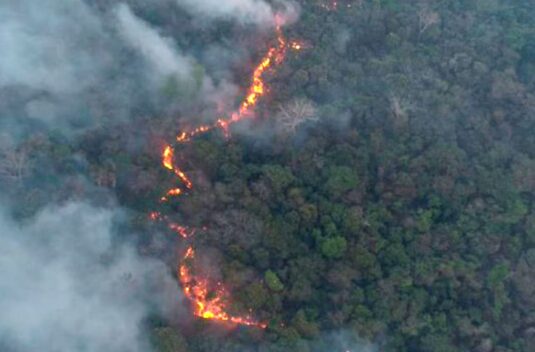 Incendio en frontera entre Paraguay y Bolivia arrasa con 16.000 hectáreas de vegetación