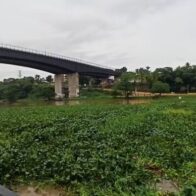 Crecida del río Ozama arrastra gran cantidad de lilas y desechos hasta el puente flotante