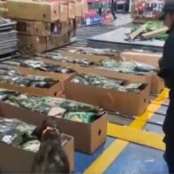Decomisan en Ecuador 38.000 gramos de cocaína ocultos en carga que iba a Inglaterra