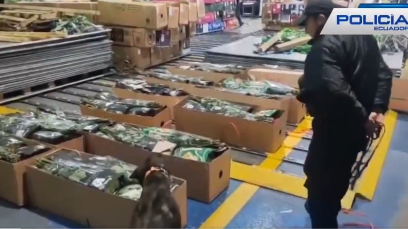 Decomisan en Ecuador 38.000 gramos de cocaína ocultos en carga que iba a Inglaterra