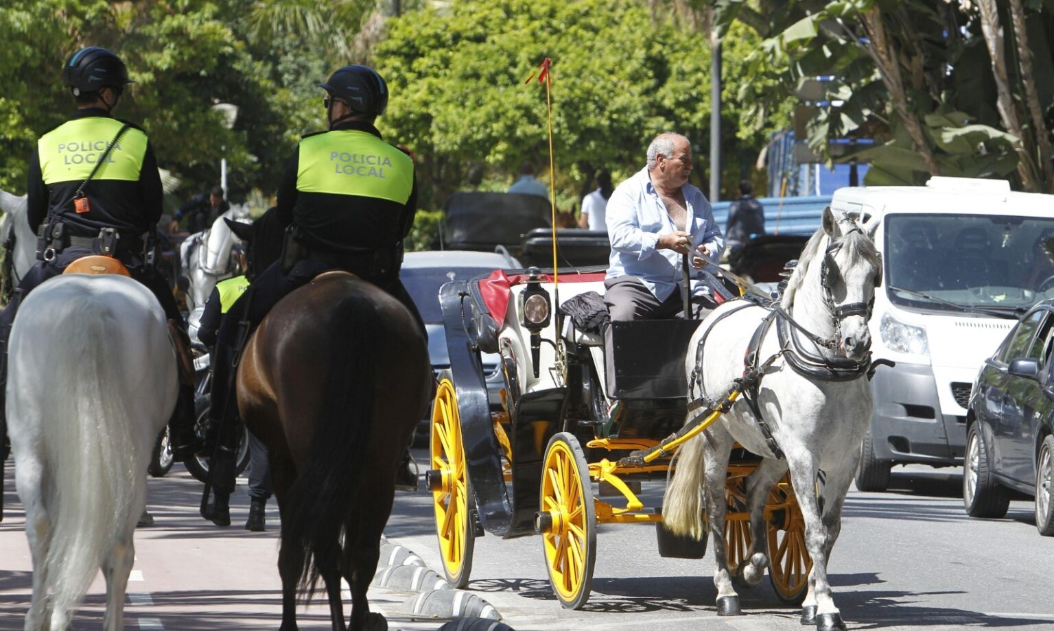 La ciudad española de Málaga elimina los paseos turísticos en coche de caballos