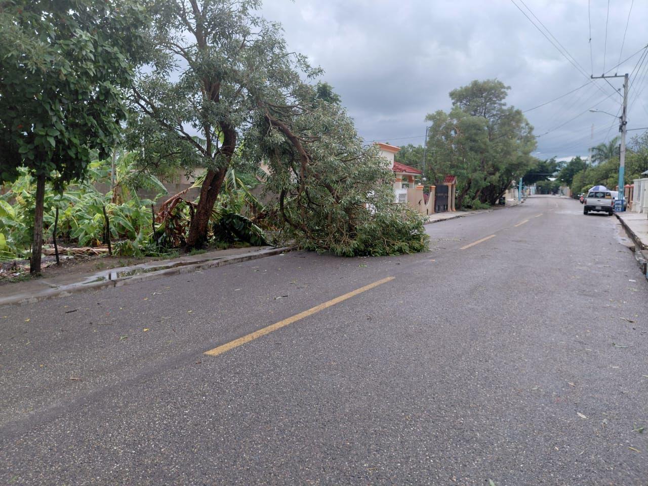 Fuerte tornado y lluvias provocan daños en comunidad de Barranca, La Vega