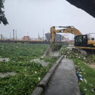 MOPC anunció cierre temporal del Puente Flotante por acumulación de lilas en el río Ozama