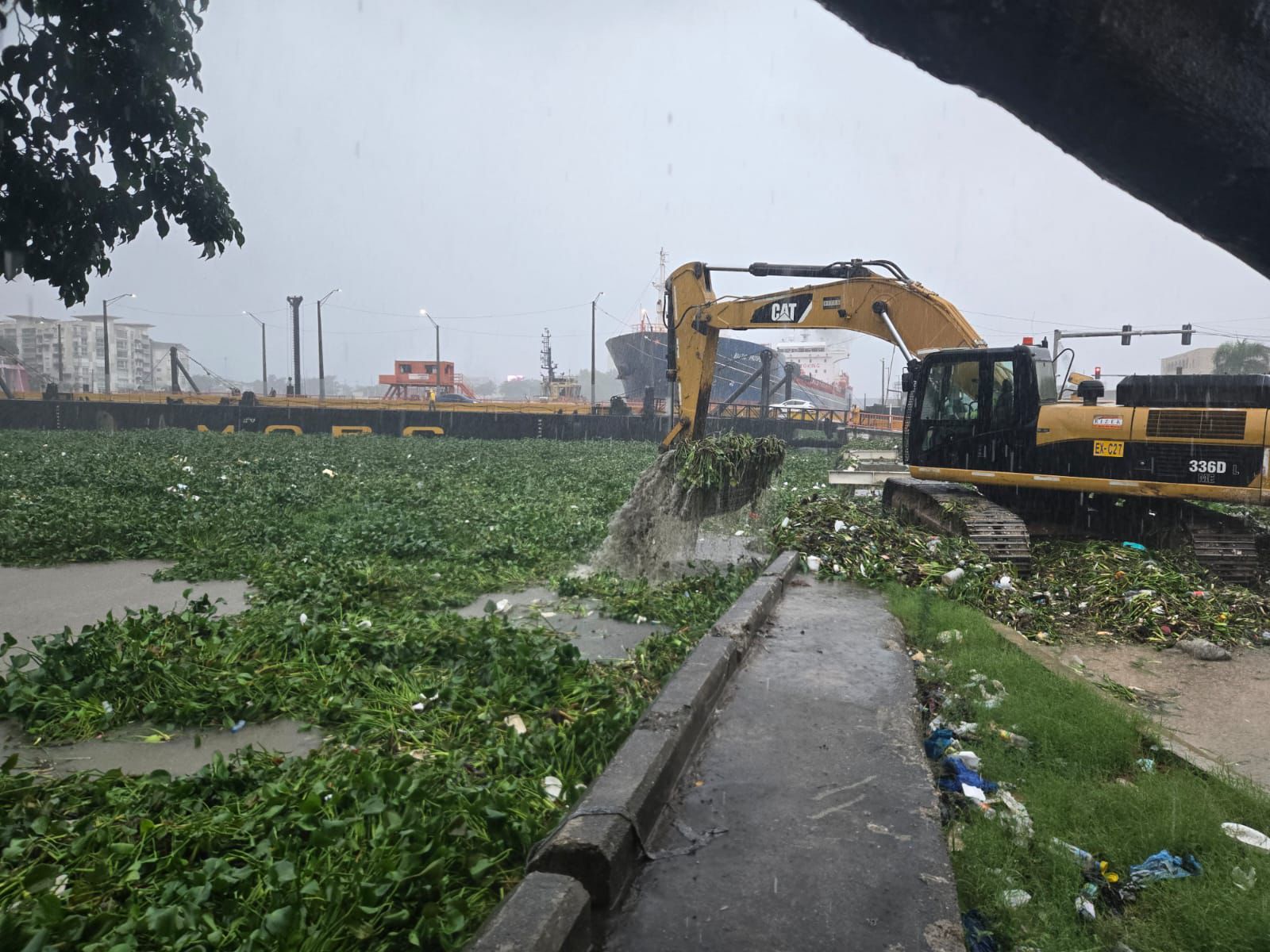 MOPC anunció cierre temporal del Puente Flotante por acumulación de lilas en el río Ozama
