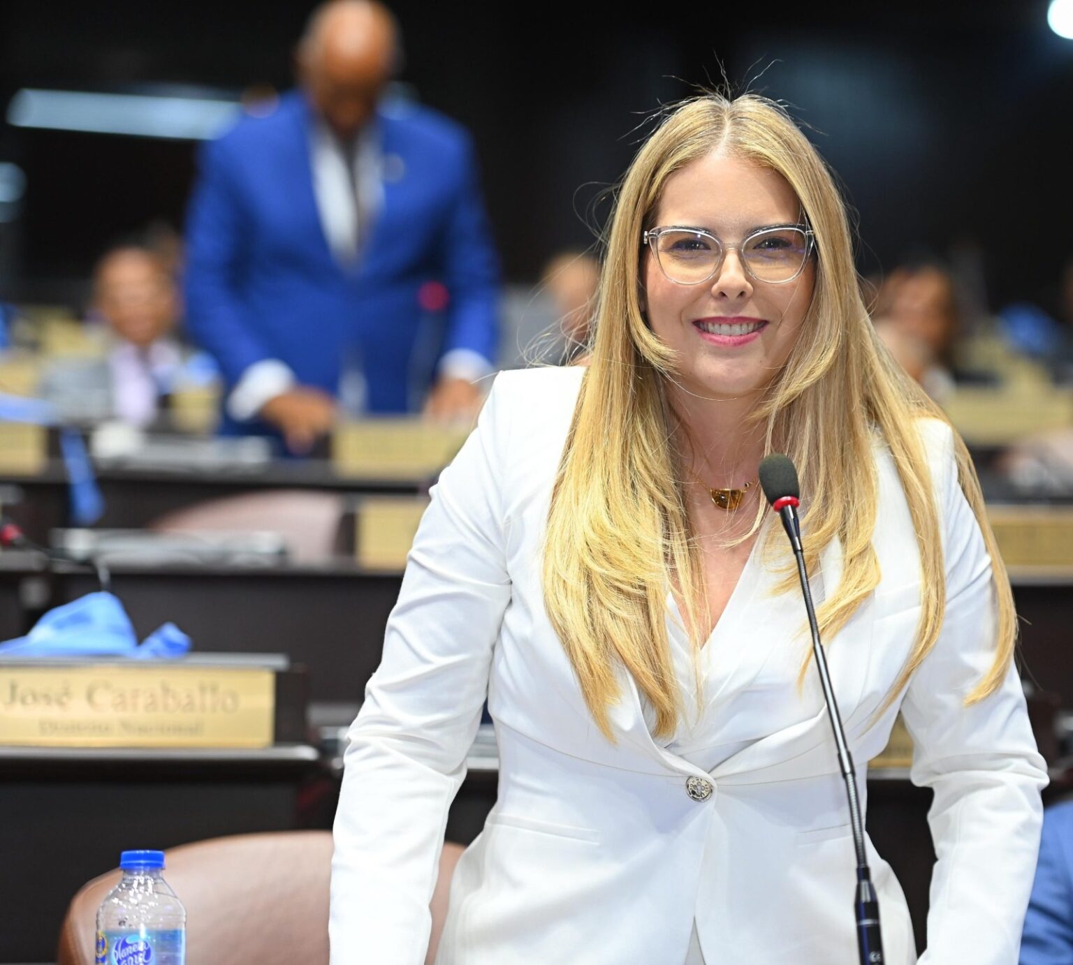 Diputada: “La cesantía no se elimina, se moderniza para fortalecer el tejido productivo nacional”
