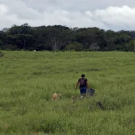 Informe revela una reducción de la deforestación mundial aunque su tasa sigue siendo alta