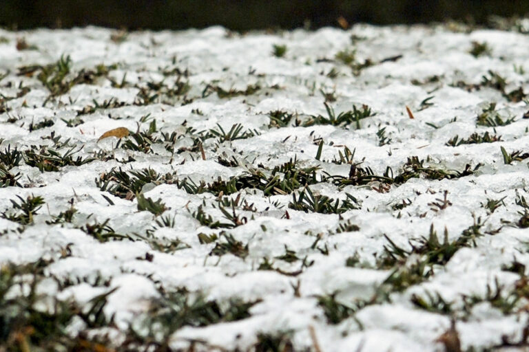 Media Europa está en alerta por frío polar y una fina capa de nieve cubre Bruselas