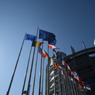 El Parlamento Europeo apoya retrasar un año la ley europea contra la deforestación