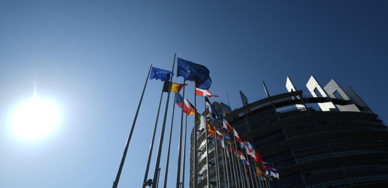 El Parlamento Europeo apoya retrasar un año la ley europea contra la deforestación