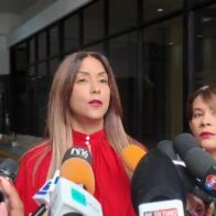Diputada Selinée Méndez considera “provocación” a RD boda gay oficiada por exembajador Brewster