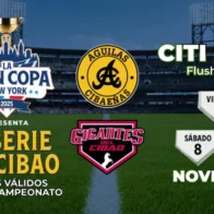 Lidom lamenta cancelación de la Copa del Cibao; afirma que las causas no fueron fortuitas