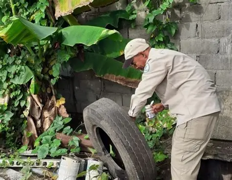Panamá acumula 23 muertes por dengue y 13.844 casos de la enfermedad en 2025
