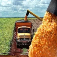 Paraguay exporta alimentos por 352 millones de dólares en los primeros nueve meses de 2025