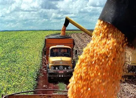 Paraguay exporta alimentos por 352 millones de dólares en los primeros nueve meses de 2025