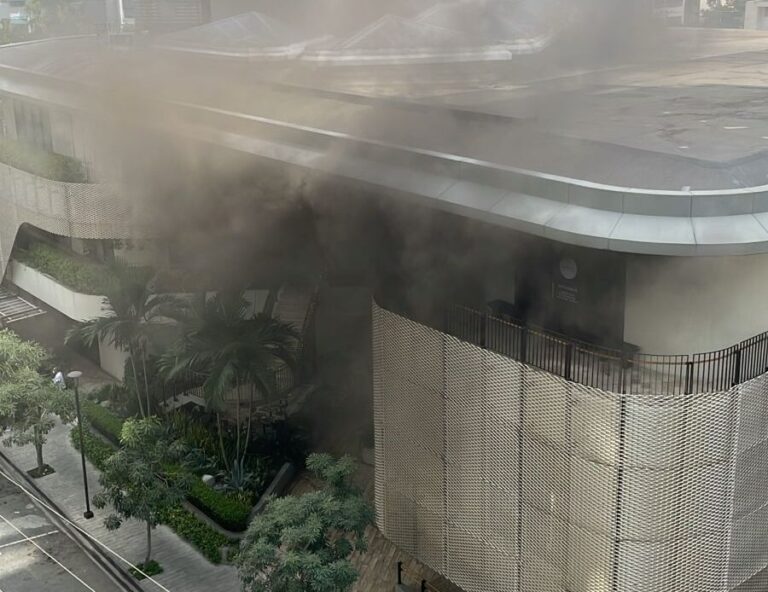 Incendio afecta la plaza Paseo del Prado en Naco; autoridades investigan causas