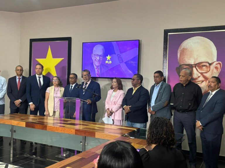 PLD alerta sobre la crisis en el sector construcción y pide medidas urgentes para reactivarlo