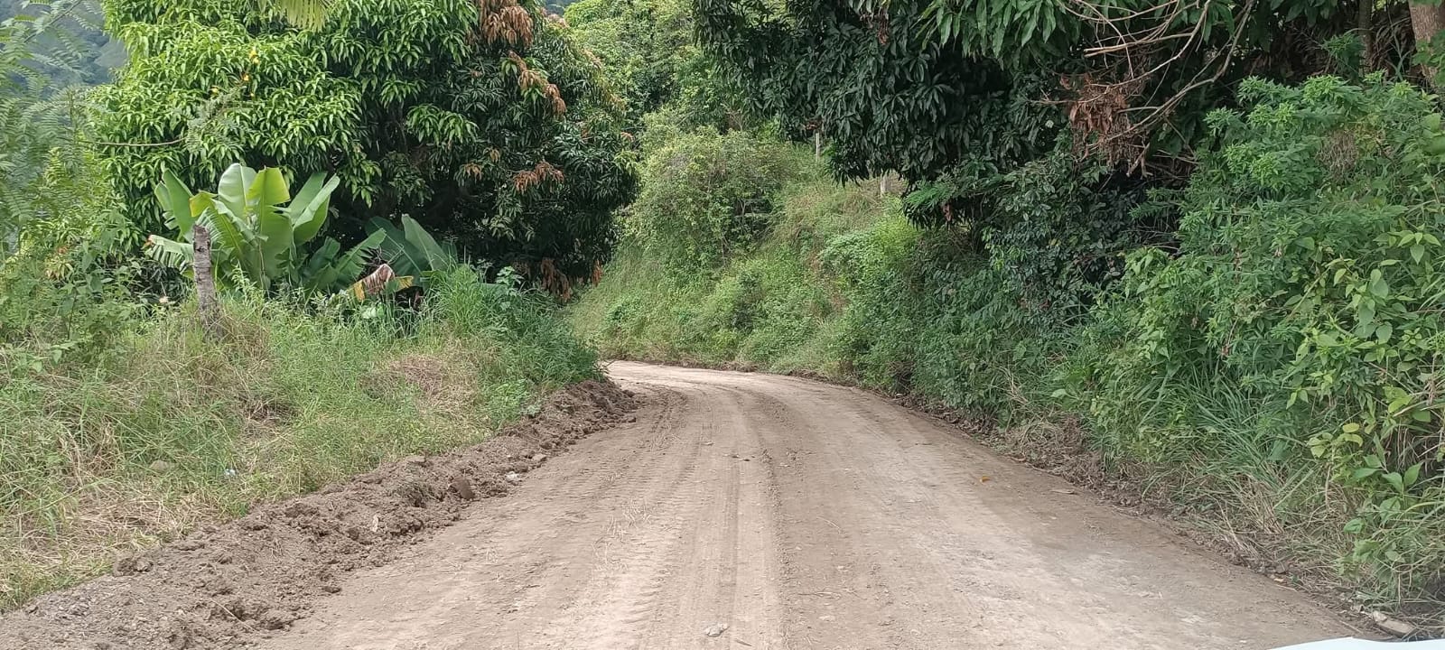 MOPC habilita caminos interparcelarios en zonas agrícolas de Peralta