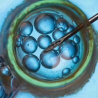 Desaparecen cientos de embriones tras el cierre de una clínica de fertilidad en Bosnia