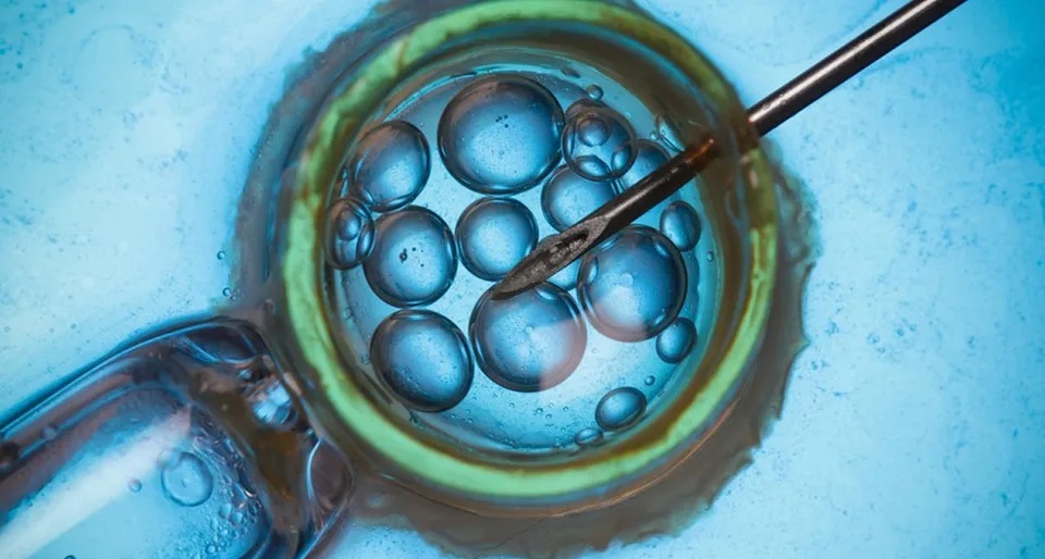 Desaparecen cientos de embriones tras el cierre de una clínica de fertilidad en Bosnia
