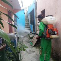 Salud Pública refuerza vigilancia epidemiológica ante circulación de chikungunya en Cuba