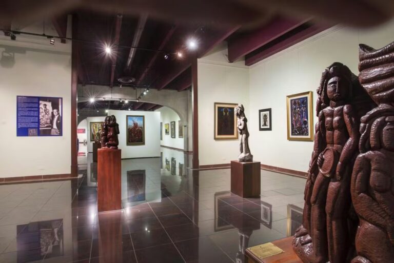 Museo Bellapart presentó el documental “Colson: Renovarse o Morir”