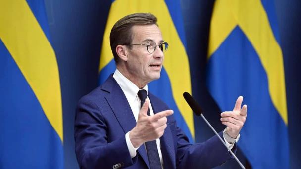 Suecia insta a plataformas a detener venta de muñecas sexuales de apariencia infantil