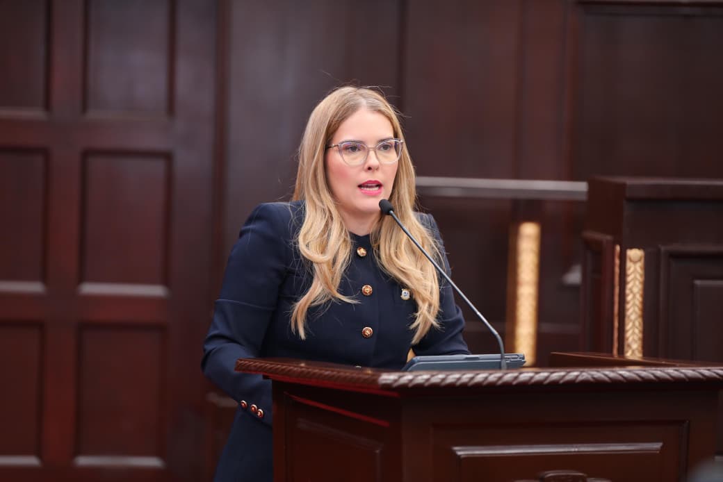 Diputada Barceló respalda postura sobre cesantía, pero seguirá apoyando a microempresas