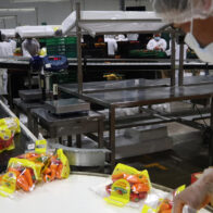 Unos 40.000 productores mantienen producción de alimentos orgánicos en México en 2025