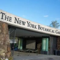 Hallan muerta a mujer hispana de 72 años frente al Jardín Botánico de Nueva York