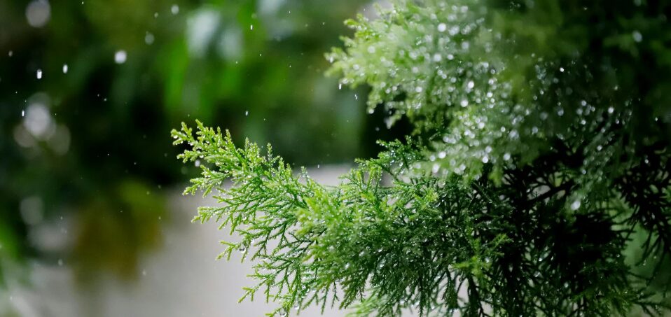 Indomet prevé disminución de las lluvias y aumento del polvo del Sahara
