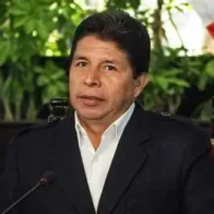 Tribunal Constitucional de Perú rechaza hábeas corpus del expresidente Pedro Castillo