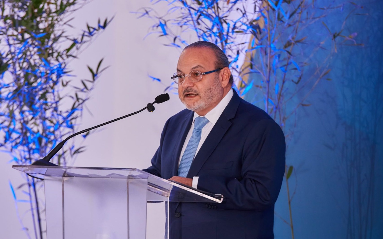 Luis José Bonilla Bojos, presidente de la AIREN.