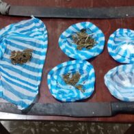 Policía ocupa cuatro armas ilegales, más de 250 porciones de drogas y arresta a dos por robo en Monte Plata