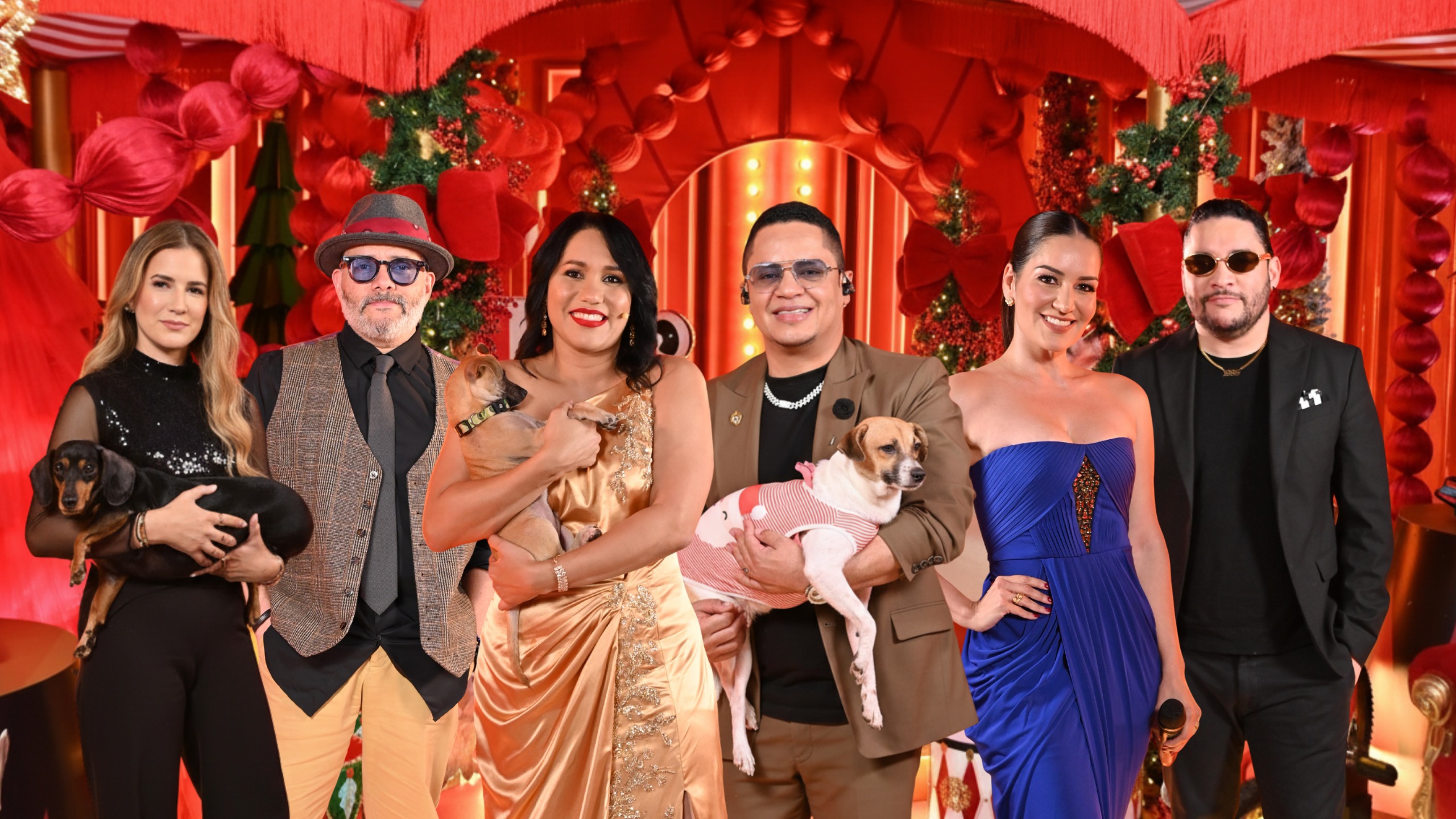 Telemedios Canal 8 y Fundación LASO presentan “Un Hogar para Navidad”