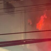 Miembros del Cuerpo de Bomberos dan asistencia a gatitos tras incendio en Ferretería San Miguel