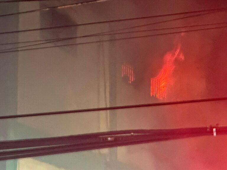 Miembros del Cuerpo de Bomberos dan asistencia a gatitos tras incendio en Ferretería San Miguel