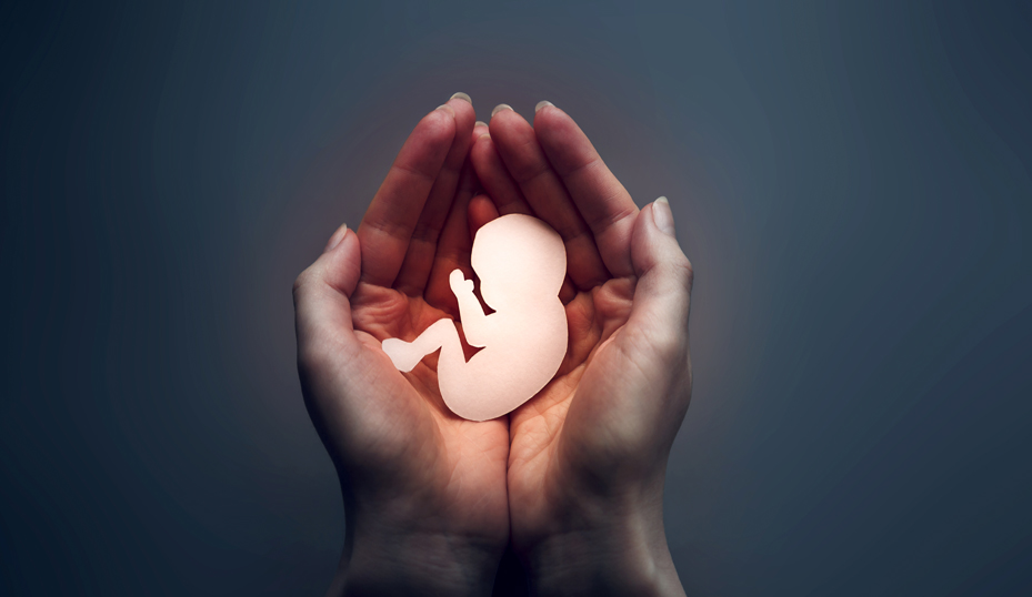 Unas 800 clínicas privadas rusas ya no ofrecen practicar abortos