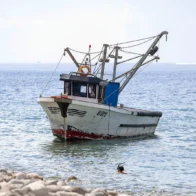 Llegan de manera irregular 260 inmigrantes a las islas españolas Baleares desde Argelia
