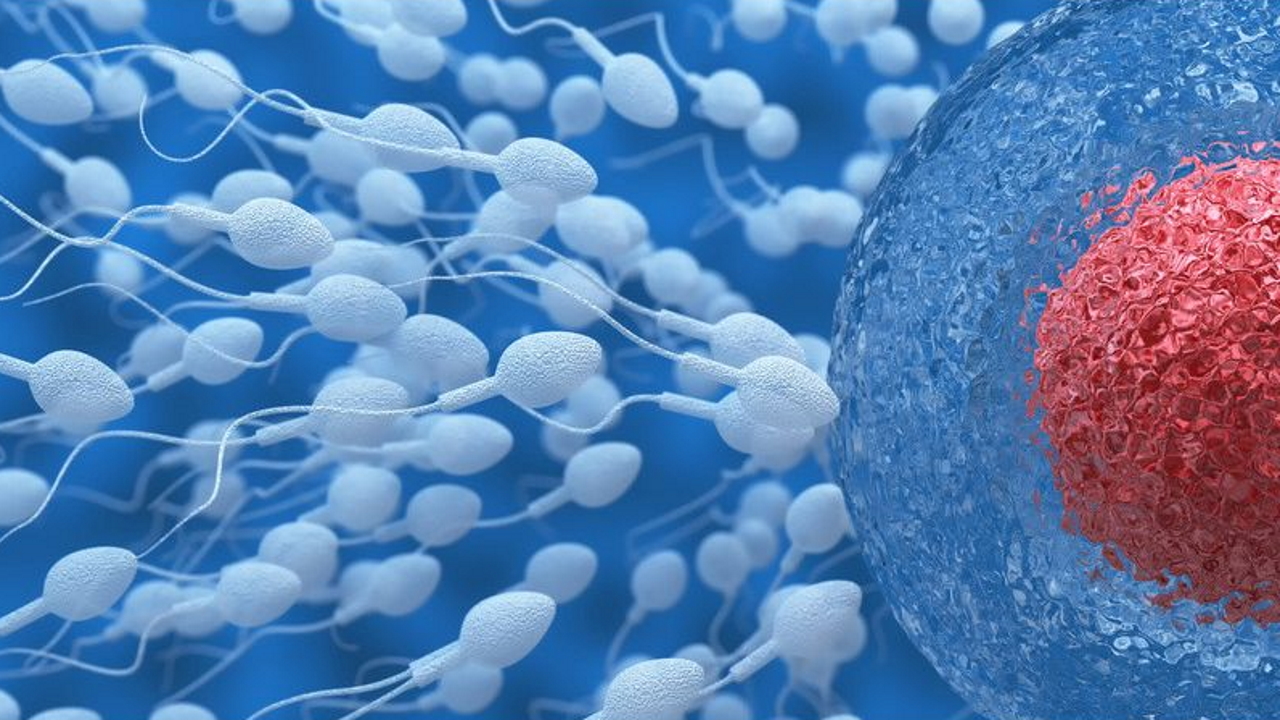 Casi 200 hijos en 14 países de un mismo donante de esperma portador de un gen cancerígeno