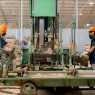 Actividad Industrial.