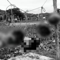 Hallan cinco cabezas humanas colgadas en una playa de Ecuador