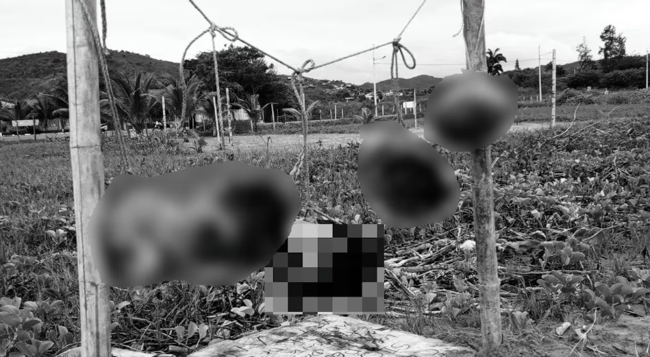 Hallan cinco cabezas humanas colgadas en una playa de Ecuador